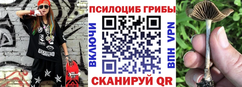 Псилоцибиновые грибы мицелий  Эртиль 